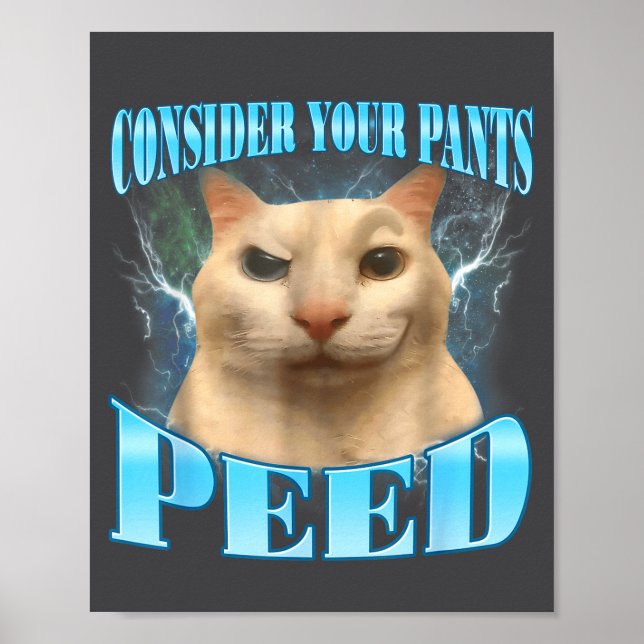 Póster Consider Your Pants Peed Funny Freak Cat Meme Humo (Frente)