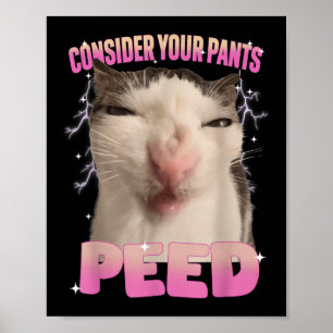 Póster Considera que tus pantalones se orinaron Gato tont