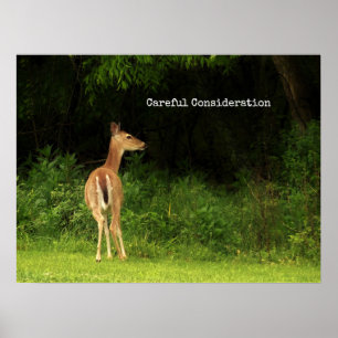 Póster Consideración cuidadosa - poster