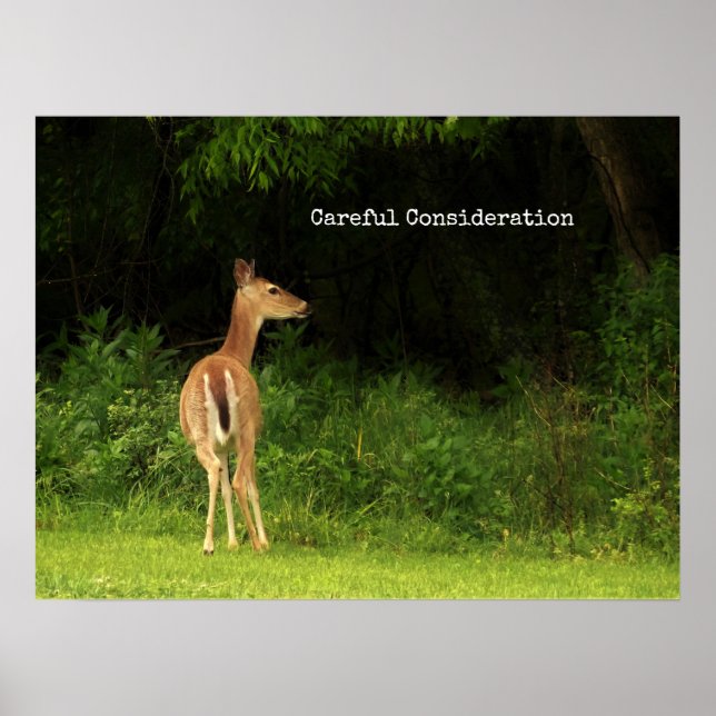 Póster Consideración cuidadosa - poster (Frente)