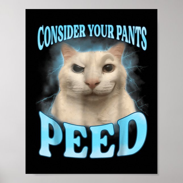 Póster Considere sus pantalones orejan divertido meme de  (Frente)