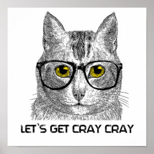 Póster Consigamos a Cray Cray