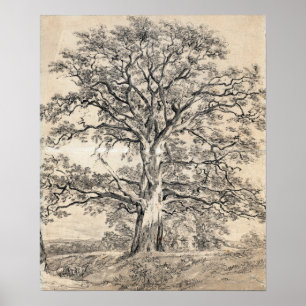 Póster Constable - Un gran roble 1801