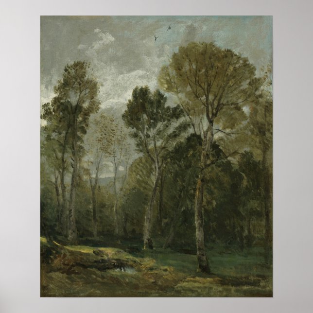 Póster Constable - Vista de una espesura (Frente)