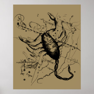 Póster Constanza Scorpio Hevelius 1690 Decor