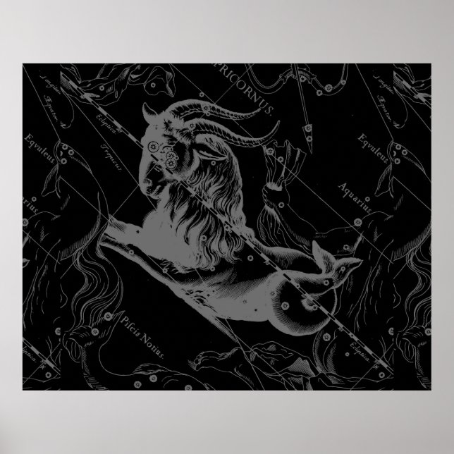 Póster Constelación de Capricornio Hevelius 1690 en negro (Frente)