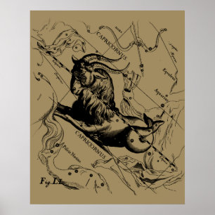 Póster Constelación de Capricornio Hevelius 1690 en Taupe