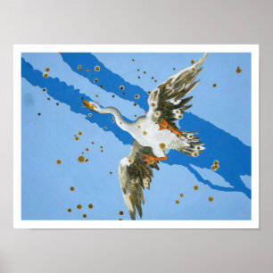 Póster Constelación de Cygnus, del writte de