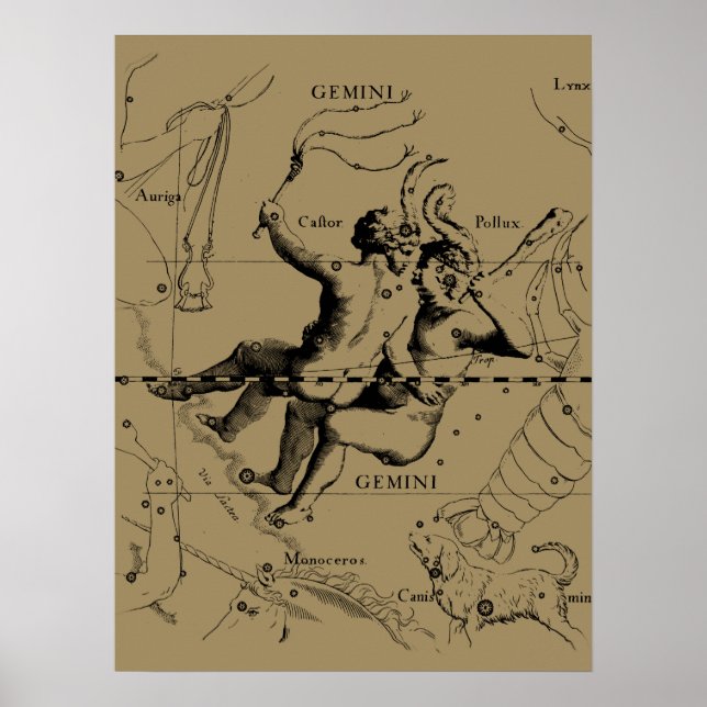 Póster Constelación de Gemini Zodiac Hevelius 1690 (Frente)