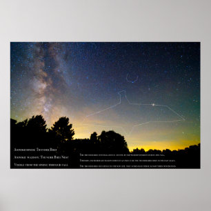 Póster Constelación de Thunderbird Ojibwe