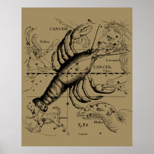 Póster Constelación de Zodiaco contra el Cáncer por Hevel