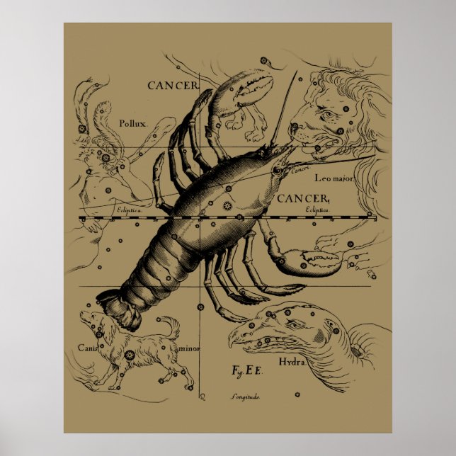 Póster Constelación de Zodiaco contra el Cáncer por Hevel (Frente)