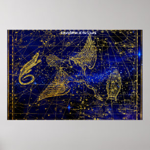Póster Constelación del Lagarto