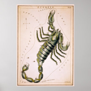 PÓSTER CONSTELLACIÓN SCORPIO DE ESCORPIÓN 1825