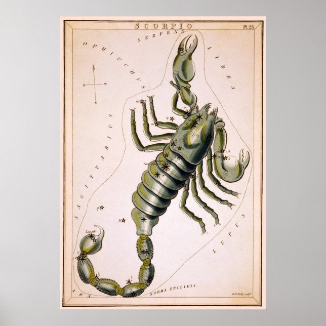 PÓSTER CONSTELLACIÓN SCORPIO DE ESCORPIÓN 1825 (Frente)