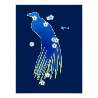 Póster Constellation du Paradisier