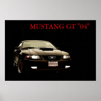 Póster Construido para la carrera