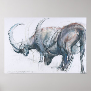 Póster Construyendo para invierno 2006