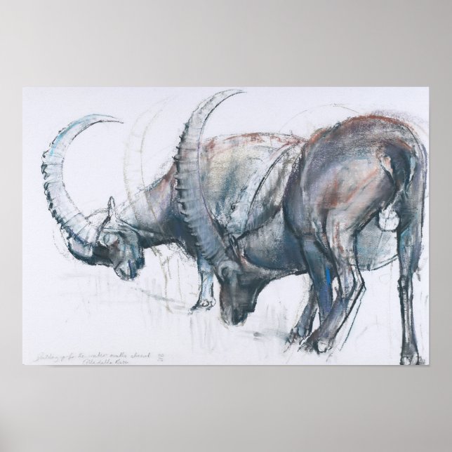 Póster Construyendo para invierno 2006 (Frente)