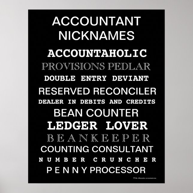 Póster Contable Nicames Poster motivacional (Frente)