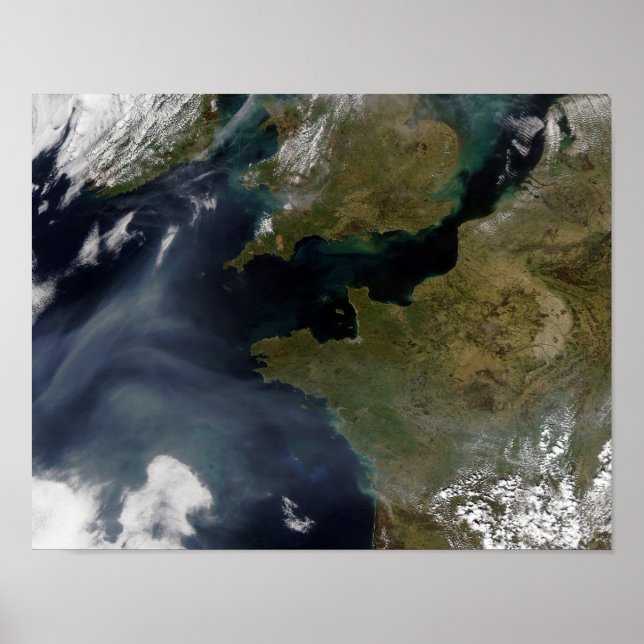 Póster Contaminación de Francia (Frente)