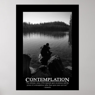 Póster Contemplación