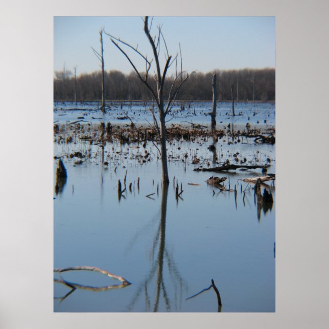 Póster Contemplación de la relación (Frente)