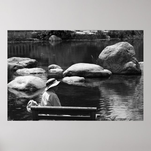 Póster Contemplación, jardines de las grandes manantiales (Frente)