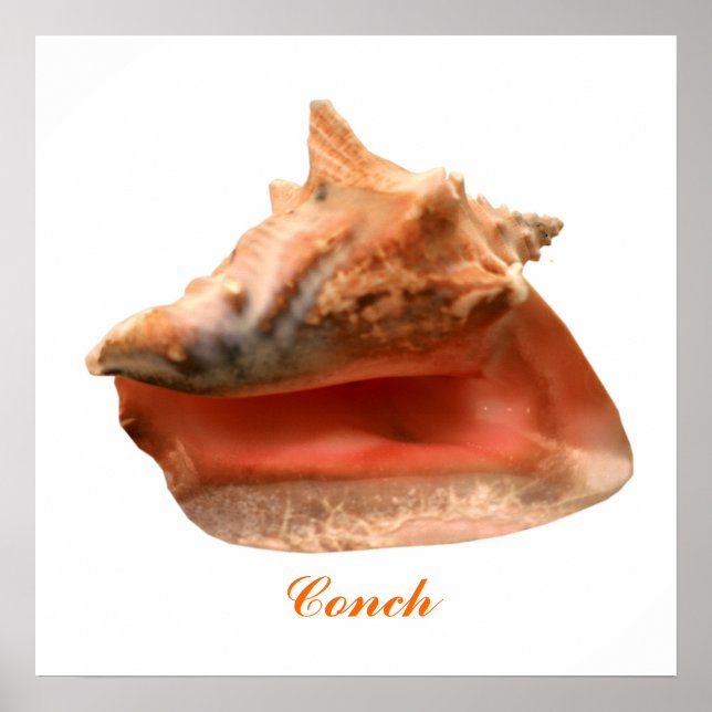 Póster Contorno (Frente)