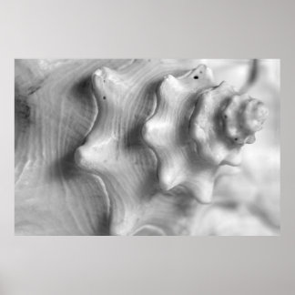 Póster Contorno de espiral