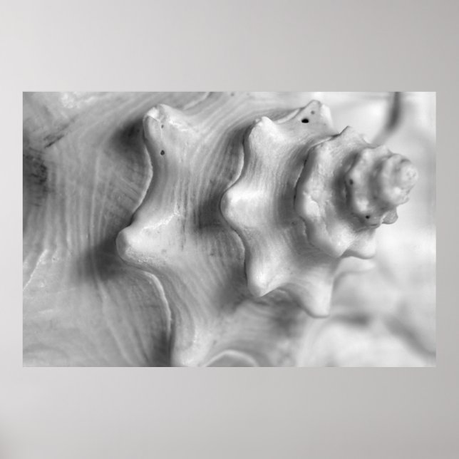 Póster Contorno de espiral (Frente)