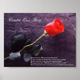 Póster Contre Qui, Rose