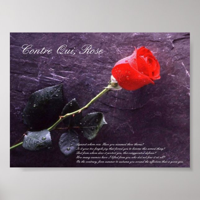 Póster Contre Qui, Rose (Frente)