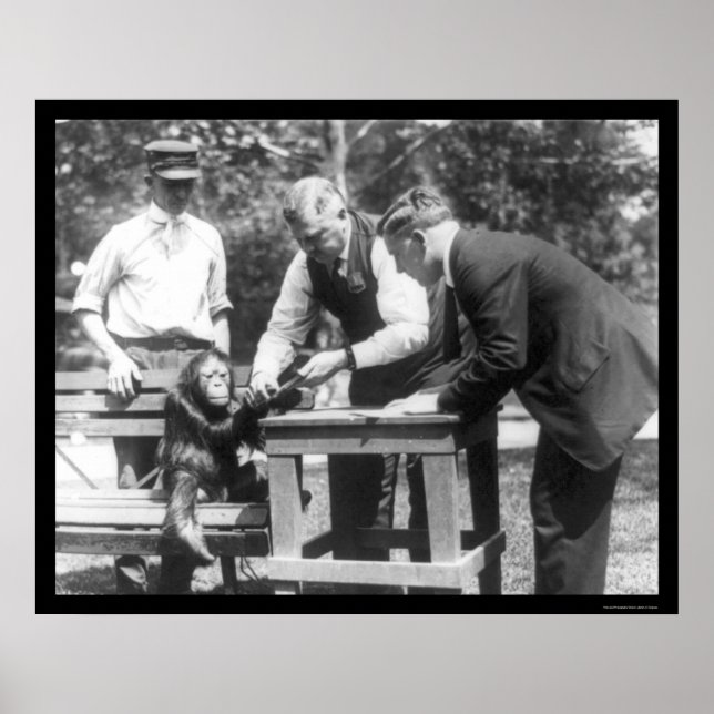 Póster Conversando con Orangutan 1920 (Frente)