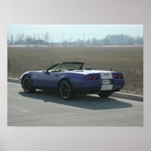 Póster Convertible magnífico 1996 del deporte de