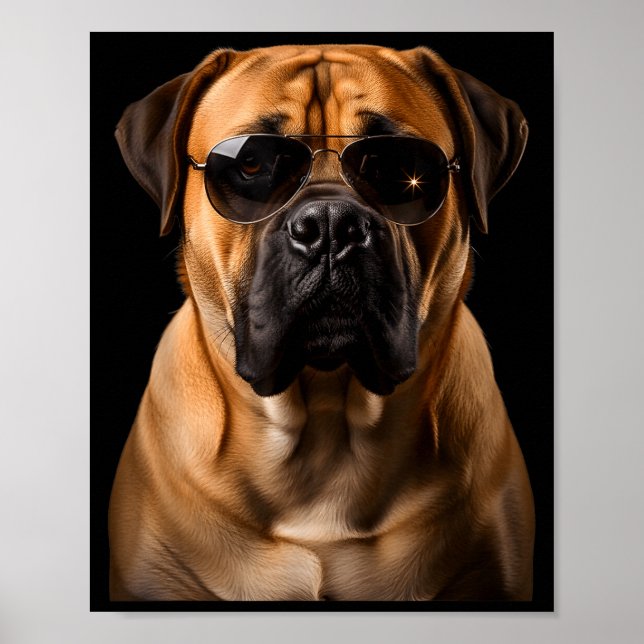 Póster Cool Dog Sungles Bullmastiff Funny Look  (Frente)