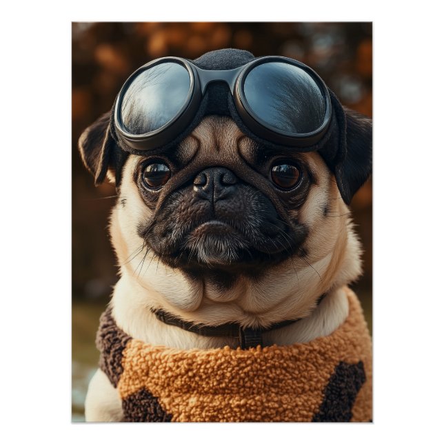 Póster Cool Pug Dog with Aviator Goggles & Cozy Sweater (Anverso)