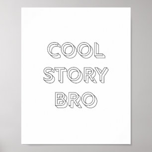 Póster Cool Story Bro