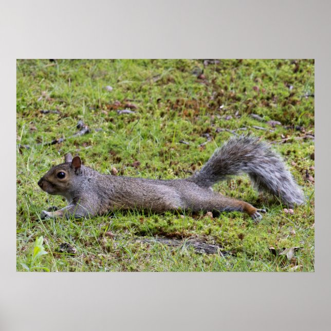 Póster Cooling Off (Frente)