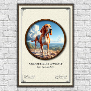 Póster Coonhound americano de inglés Serie de Zoología