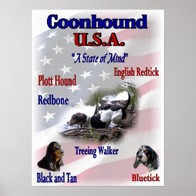 Póster Coonhound Lovers Gifts (Frente)