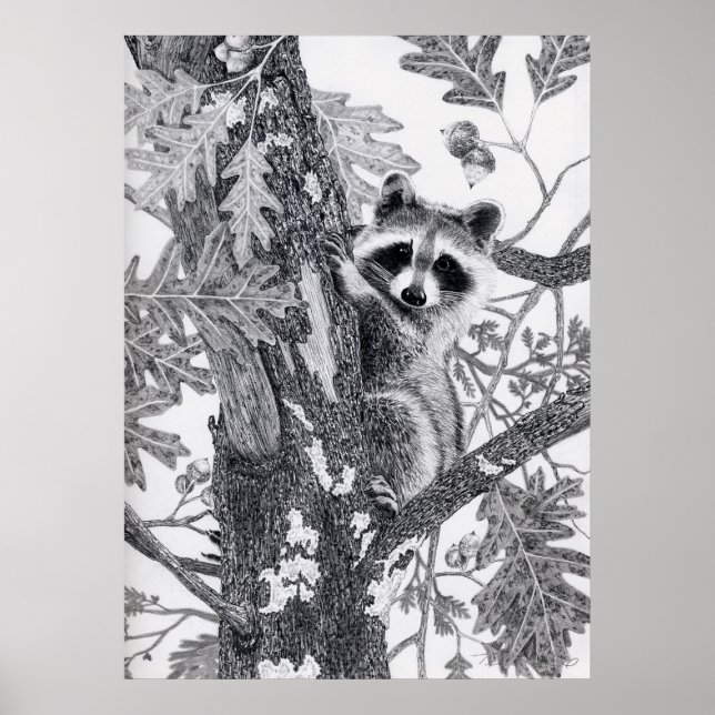 Póster Coonie (Frente)