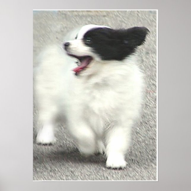 PÓSTER COOPER (Frente)