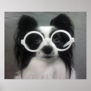 PÓSTER COOPER EN SOMBRAS