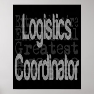Póster Coordinador de logística Extraordinaire