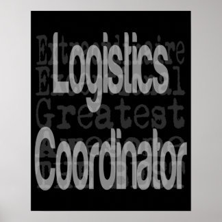 Póster Coordinador de logística Extraordinaire
