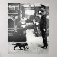 Cop detiene el tráfico para Mama Cat