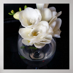 Póster copa nocturna de fresia