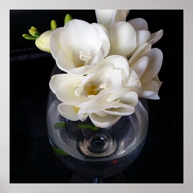 Póster copa nocturna de fresia (Frente)