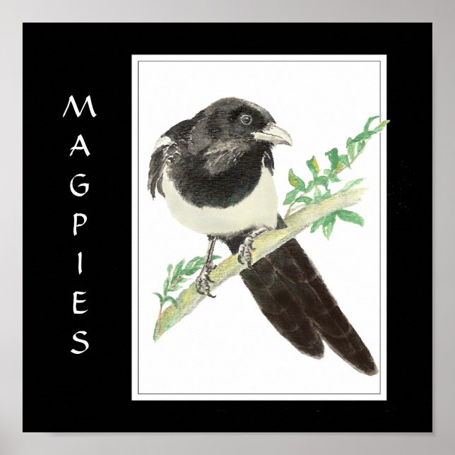 Póster Copas acuáticas en aves, recolección de animales (Frente)
